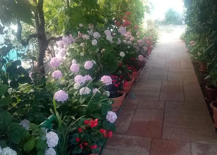 Lavander アパート *