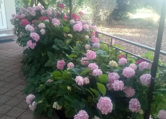 アパート Lavander