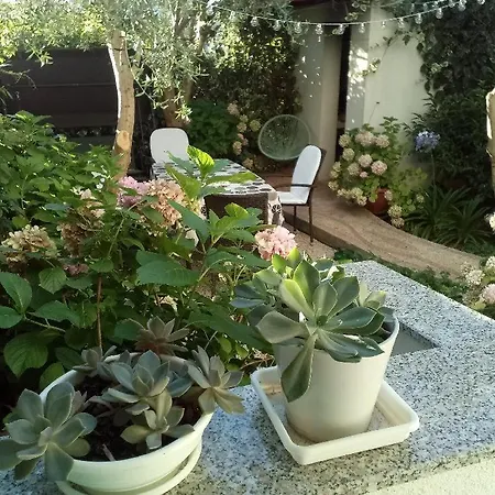 Appartement Lavander *