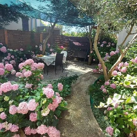 Apartment Lavander