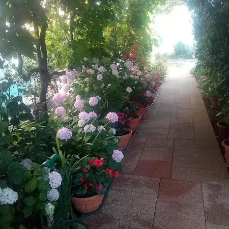 Lavander Appartement *