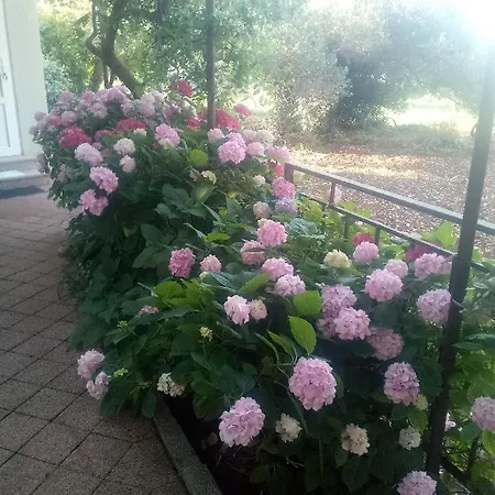 Apartment Lavander