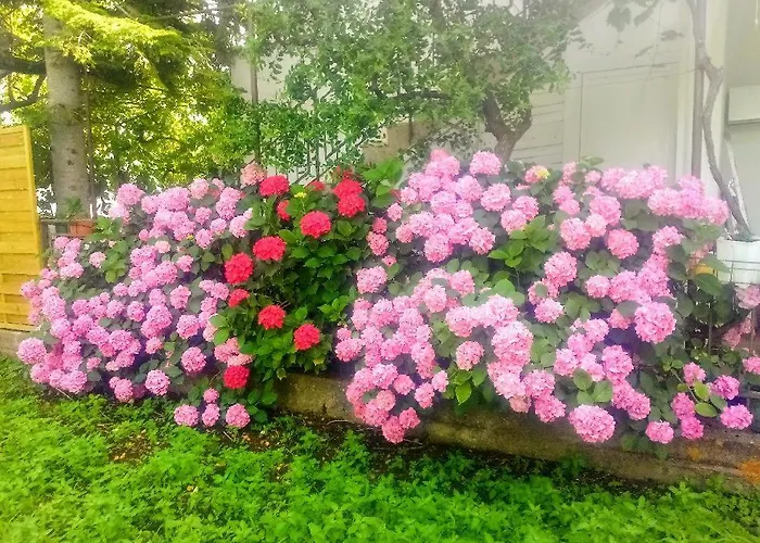 Lavander 아파트 *